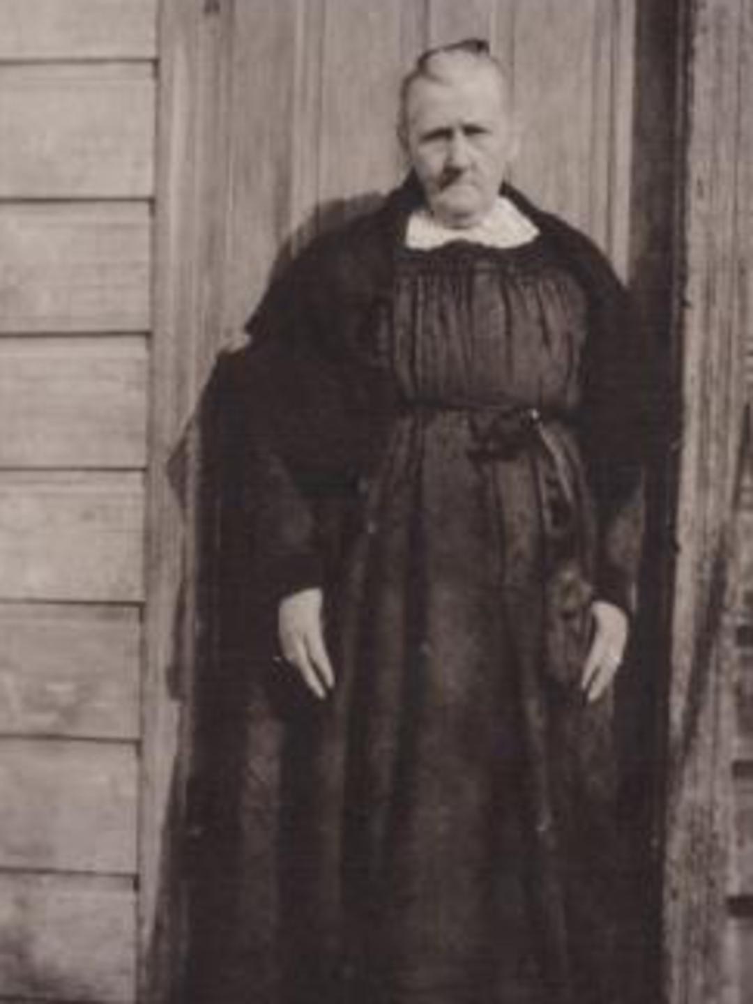 Lucinda Box (1838 - 1925) Profile